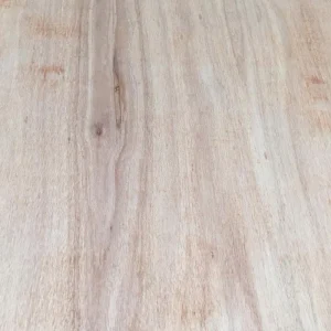 Pine Plywood Other